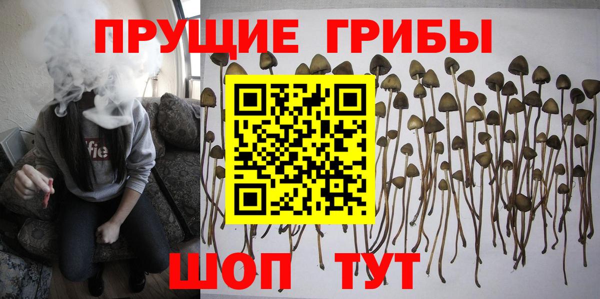 Галлюциногенные грибы GOLDEN TEACHER Асбест